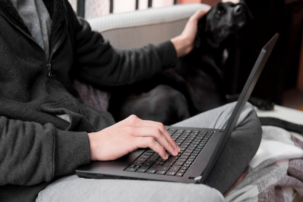 estafas con criptomonedas las tácticas más usadas en internet