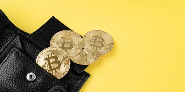 Qué es una Wallet crypto: Cómo funciona y sus beneficios
